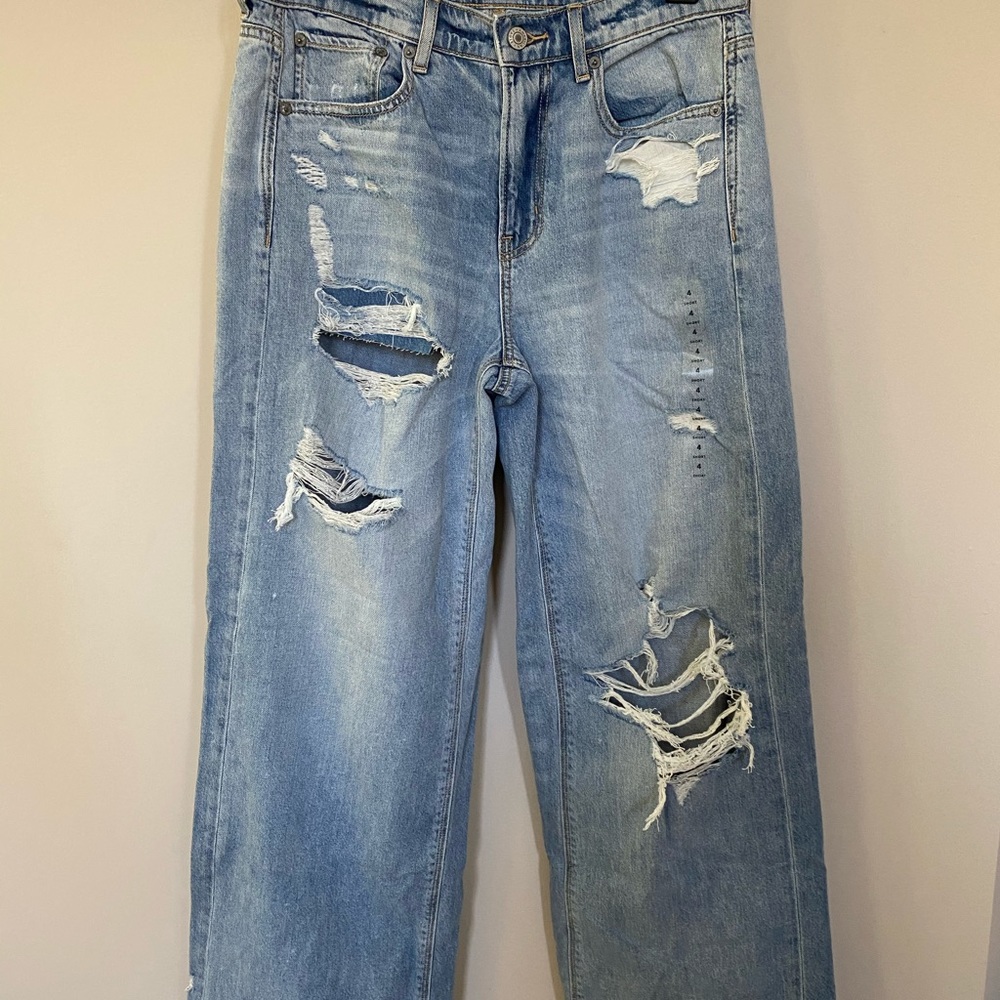 American Eagle Wide Leg Skater Jeans
